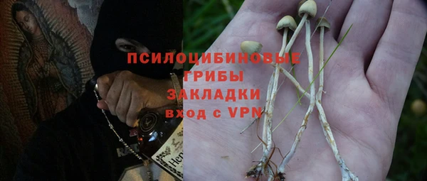 стаф Армянск