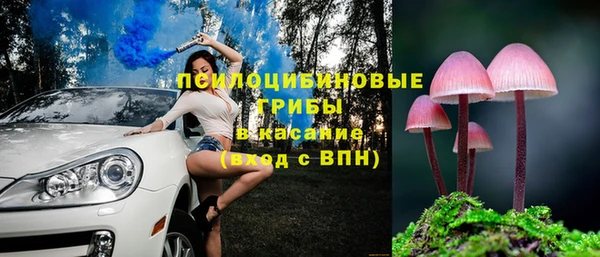 стафф Аркадак