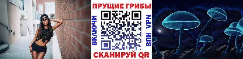 Галлюциногенные грибы прущие грибы  сайты даркнета телеграм  Новоаннинский  как найти закладки 